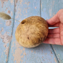 Load image into Gallery viewer, Sunny Beaux Burr Acacia squat vase 