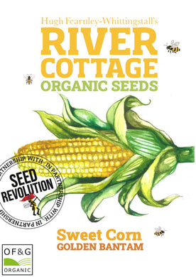 Seed Revolution River Cottage organic sweetcorn seeds