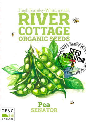 Seed Revolution River Cottage organic pea seeds