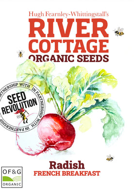 Seed Revolution River Cottage organic beetroot seeds