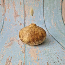 Load image into Gallery viewer, Sunny Beaux Burr Acacia squat vase 